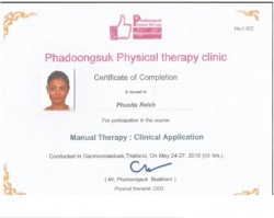 Manual Therapy: Clinical Application. /2016